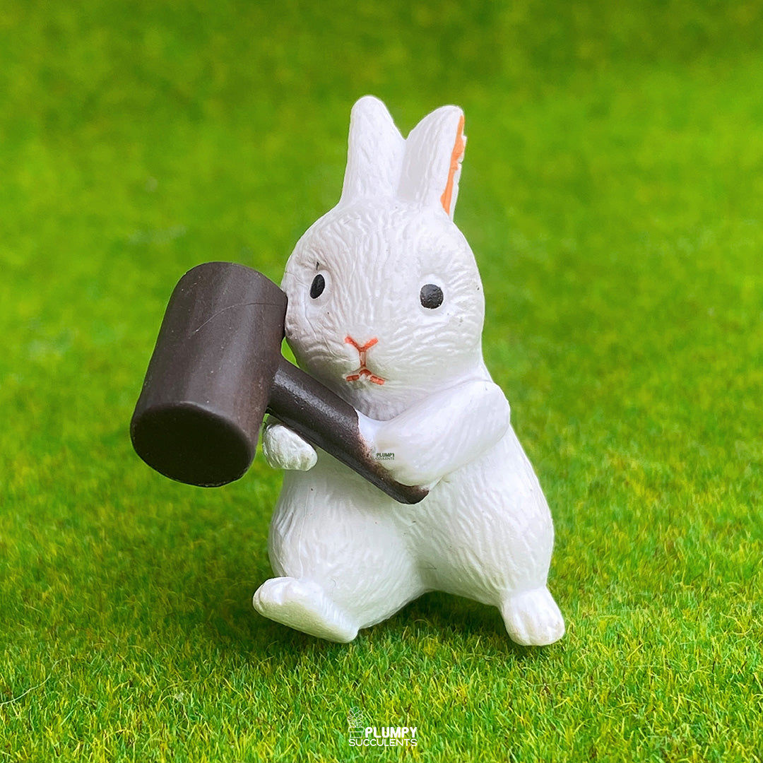 Big Rabbit