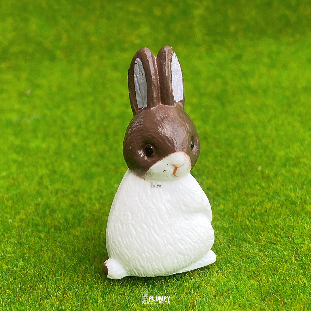 Big Rabbit