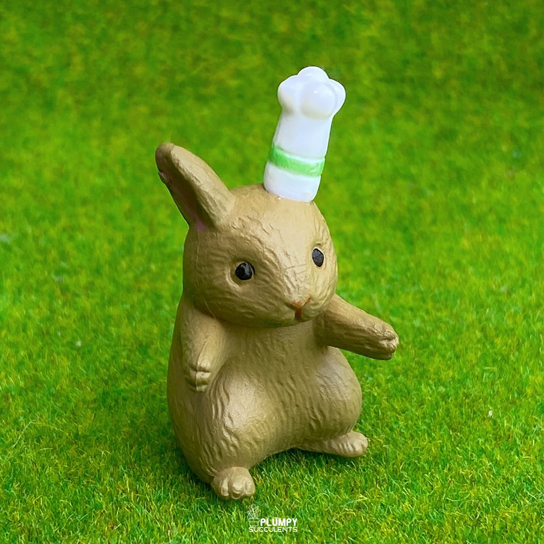 Big Rabbit