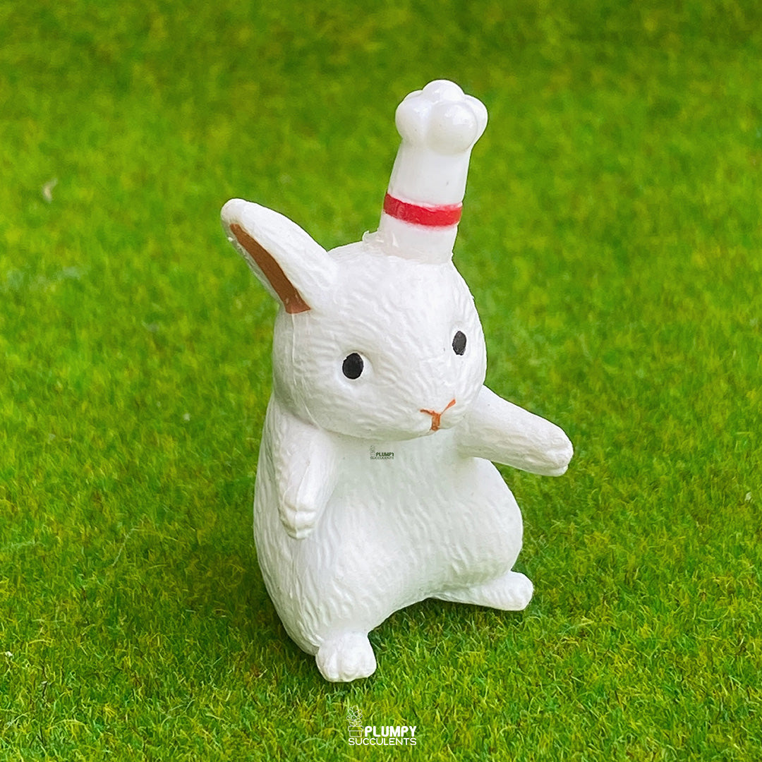 Big Rabbit