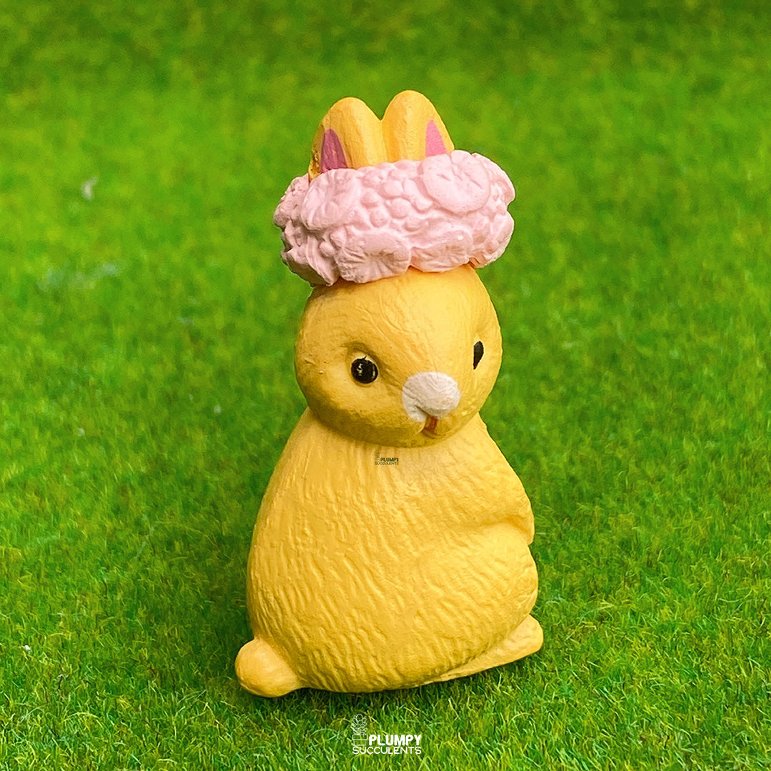 Big Rabbit