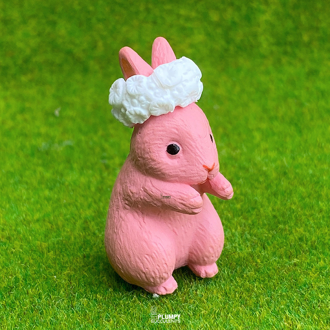 Big Rabbit