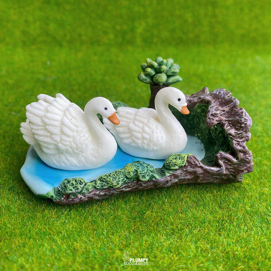 Swan Set