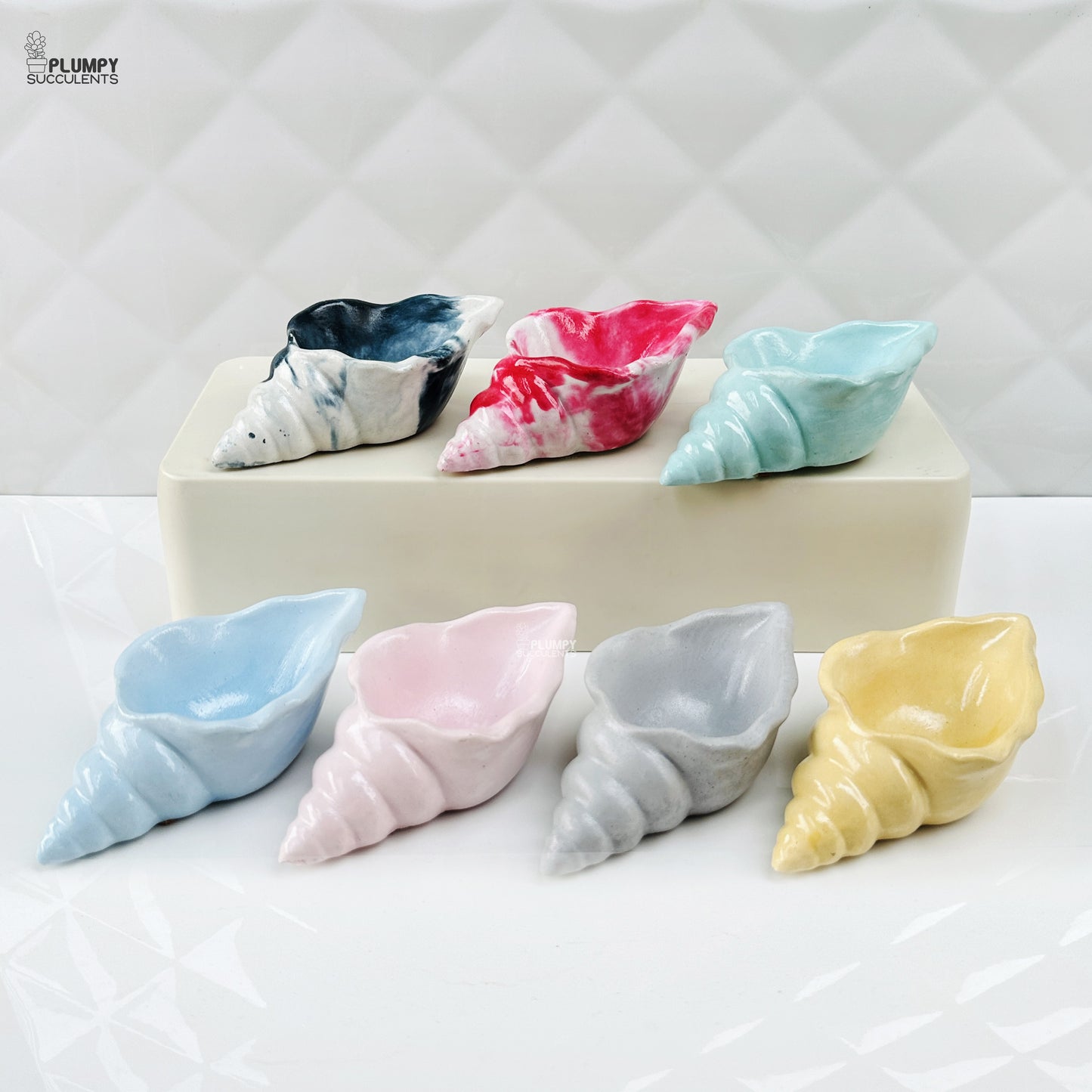 Shell Planter (4 Inch)