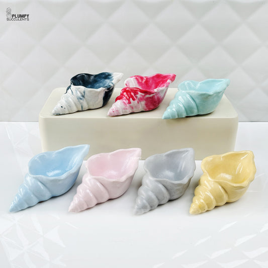 Shell Planter (4 Inch)
