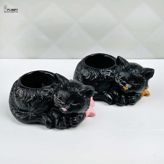 Cat Planter with Bow
