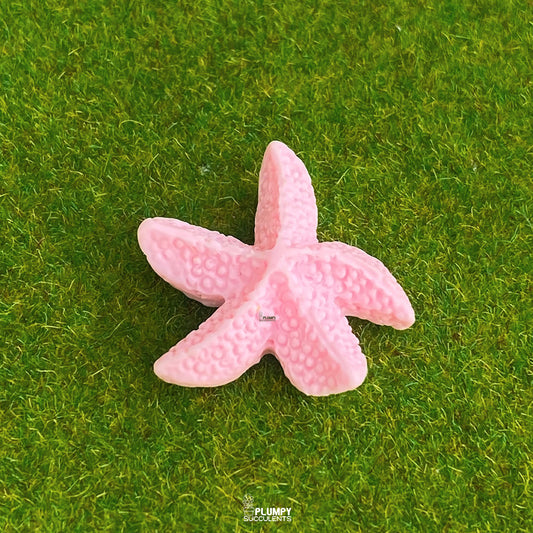 Starfish