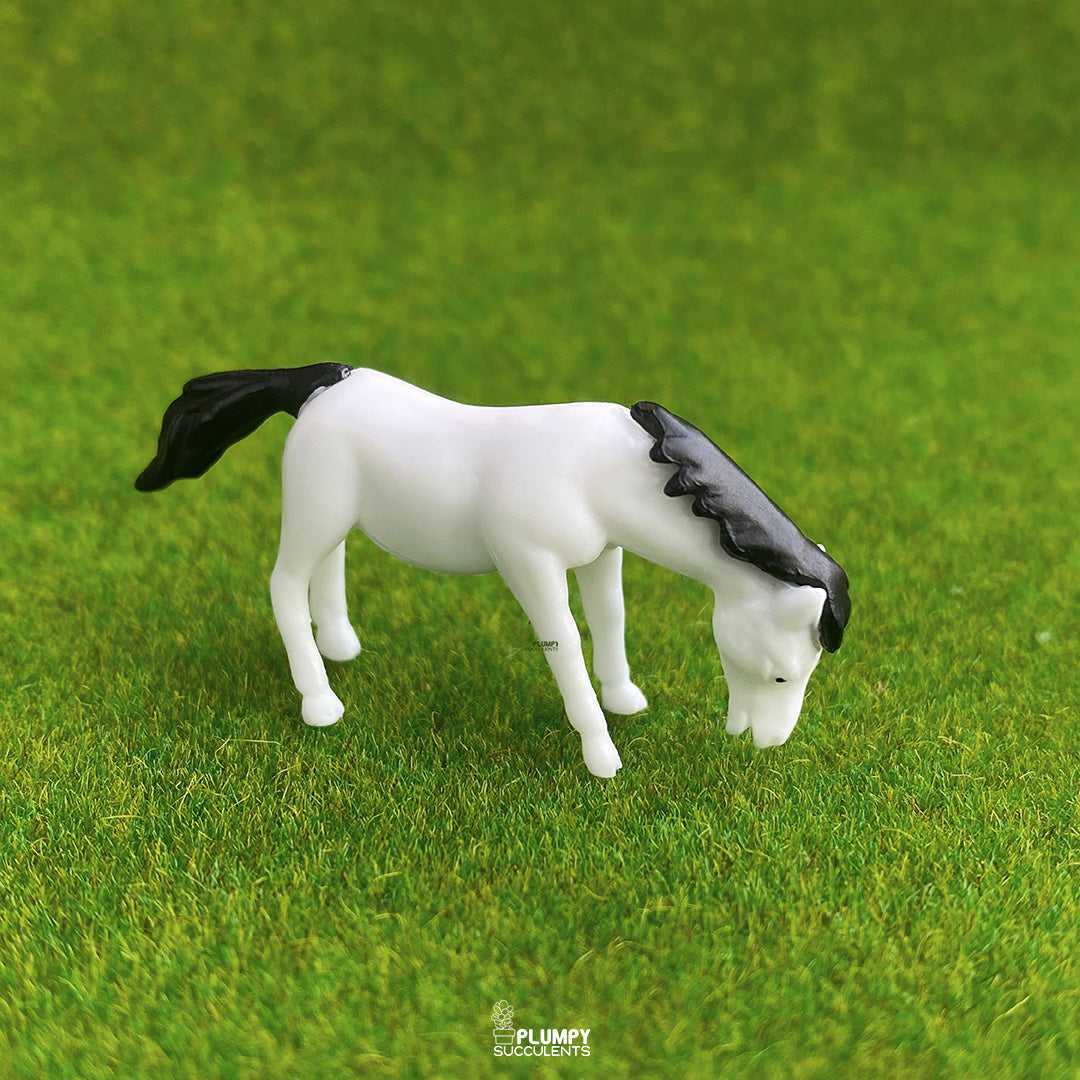 White Horse