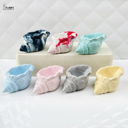 Shell Planter (4 Inch)