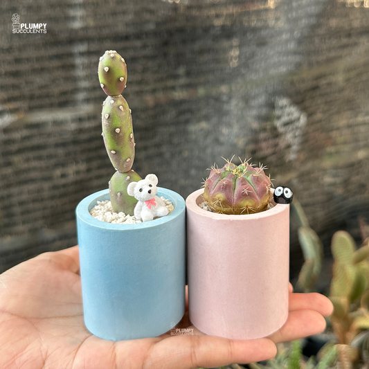 Desert Duo: Perfect for Pairs