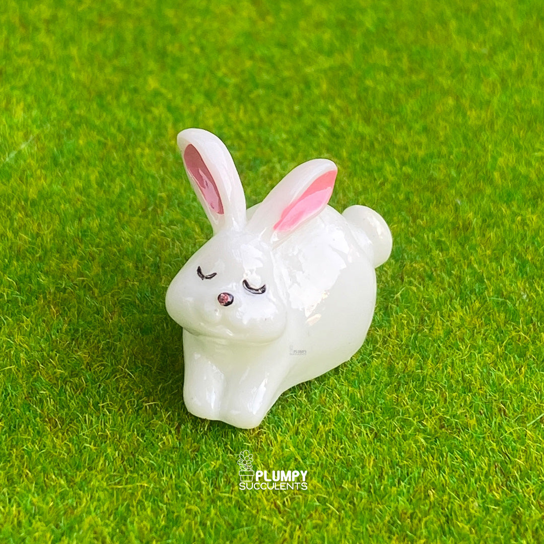 White Rabbit