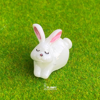 White Rabbit