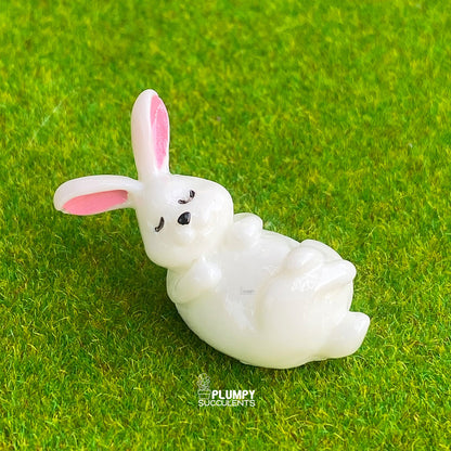 White Rabbit