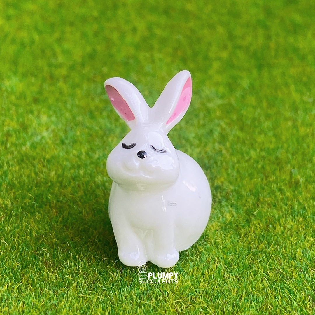 White Rabbit