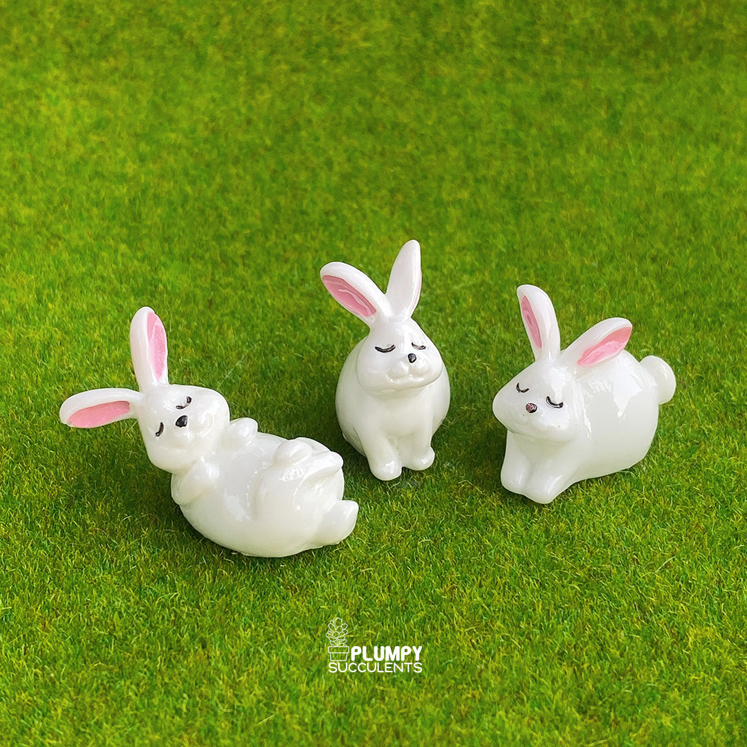 White Rabbit