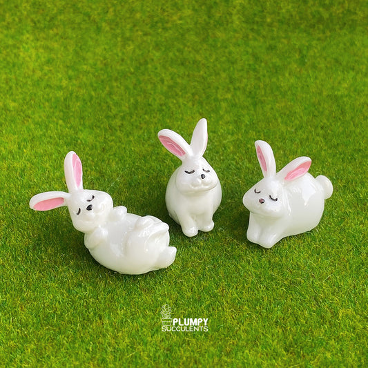White Rabbit