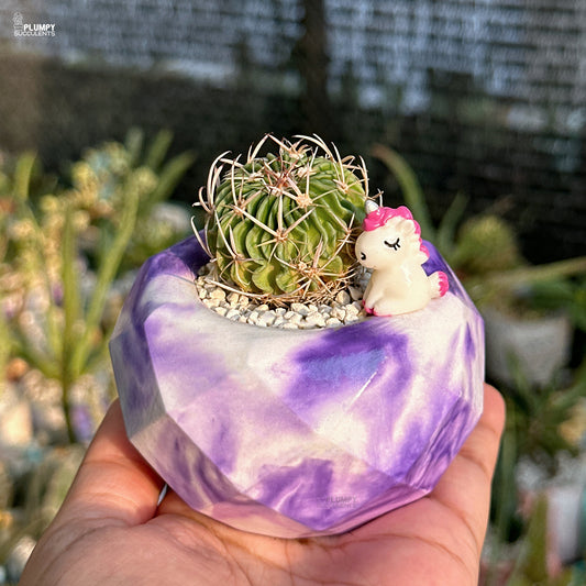 Small cactus in a purple and white pot with a unicorn figurine, held in a hand with a garden background.