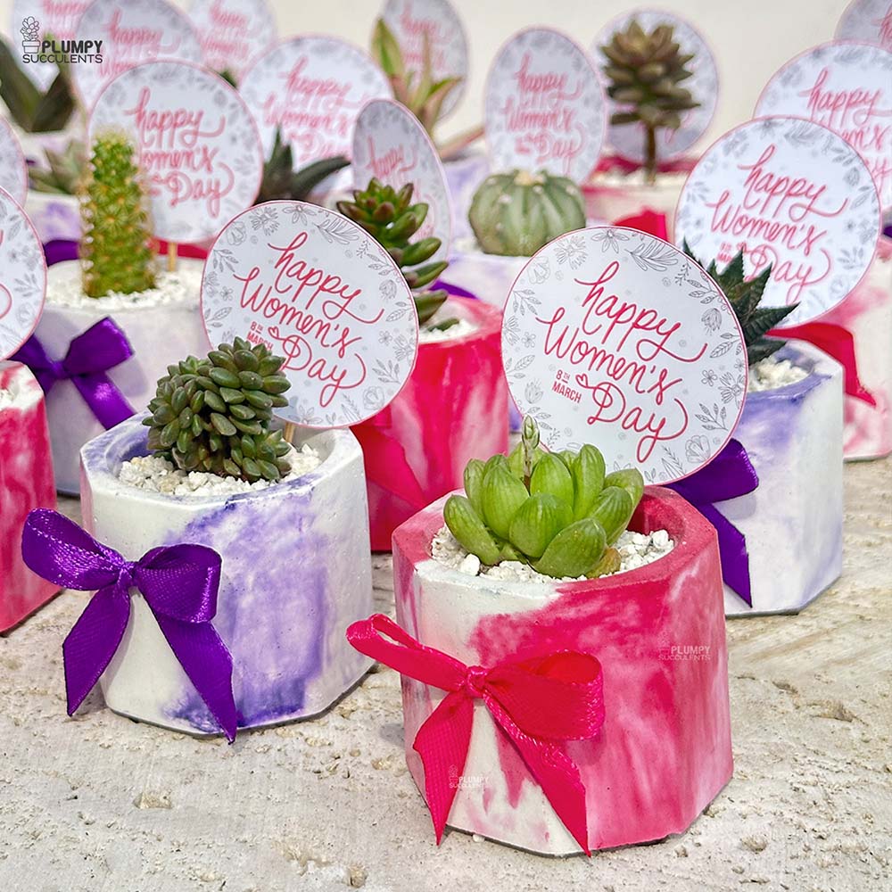 Women's Day - Mini Corporate Giveaways