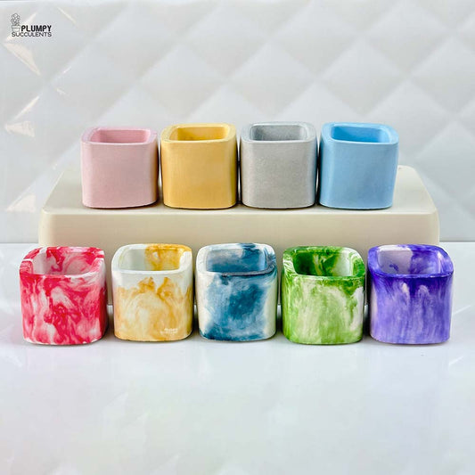 Square Planter  (2 Inch)
