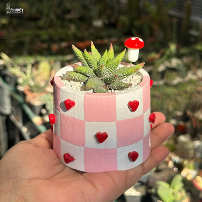Handcrafted Heart Planter - A Gift that grows like Love