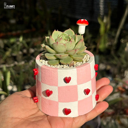 Handcrafted Heart Planter - A Gift that grows like Love