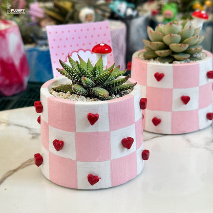 Handcrafted Heart Planter - A Gift that grows like Love