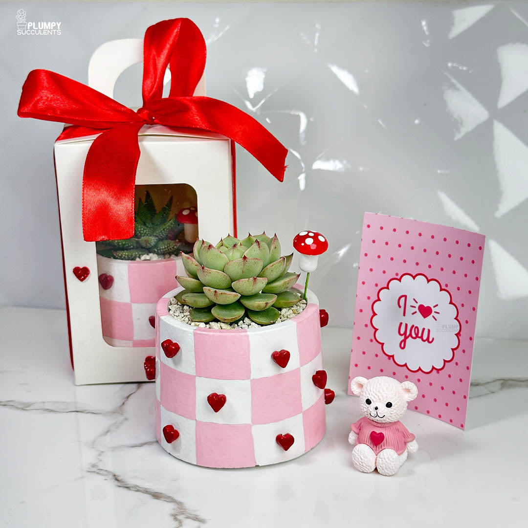 Handcrafted Heart Planter - A Gift that grows like Love