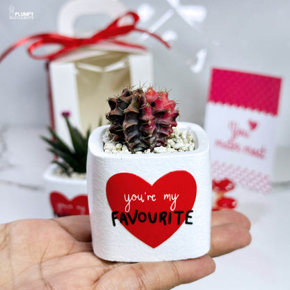 You're my Favourite - A Gift that grows like Love