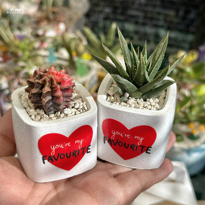 You're my Favourite - A Gift that grows like Love