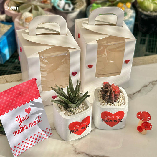 You're my Favourite - A Gift that grows like Love