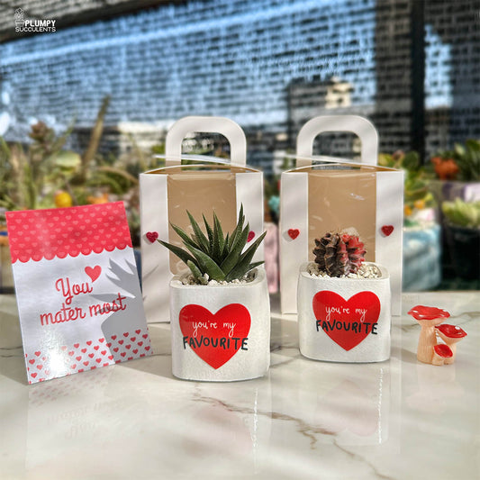 You're my Favourite - A Gift that grows like Love