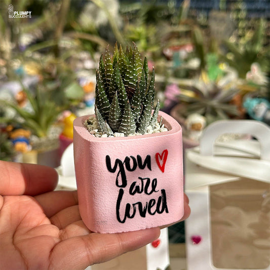 You Are Loved - A Gift that grows like Love