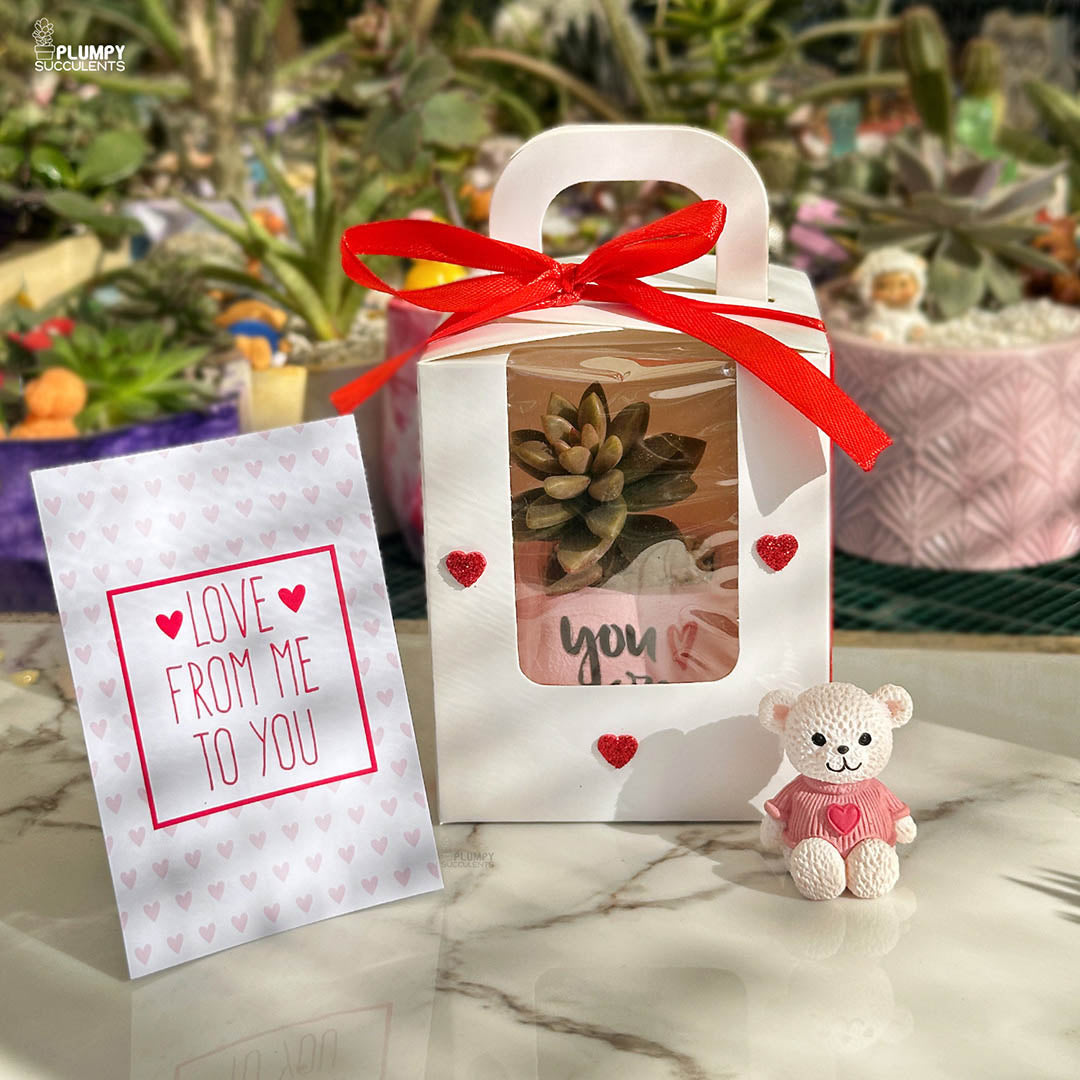 You Are Loved - A Gift that grows like Love
