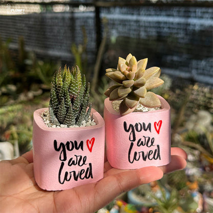 You Are Loved - A Gift that grows like Love