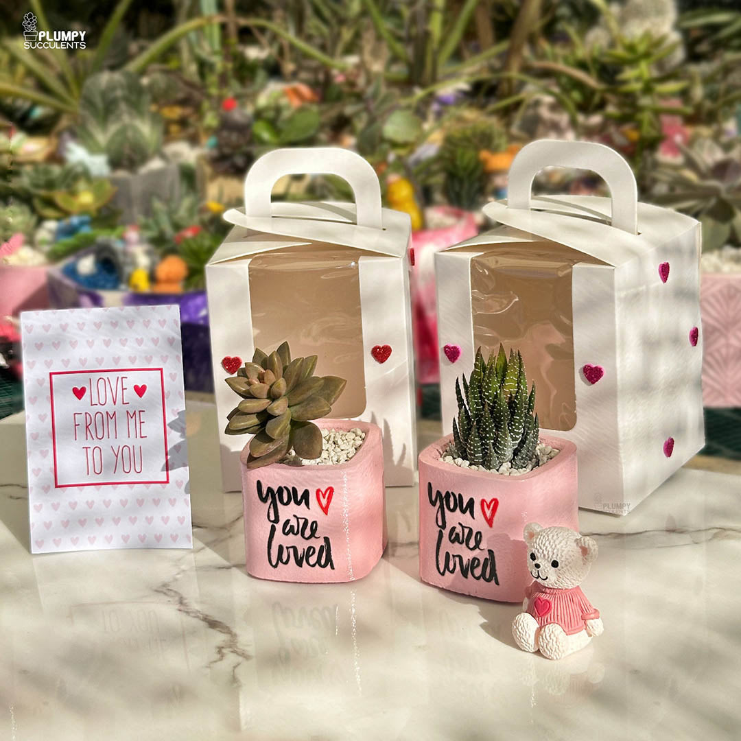 You Are Loved - A Gift that grows like Love