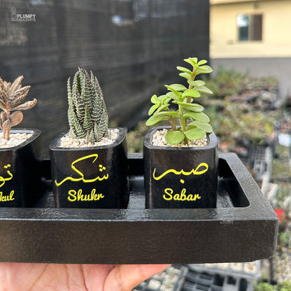 Sabr, Shukr, Tawakkul Set