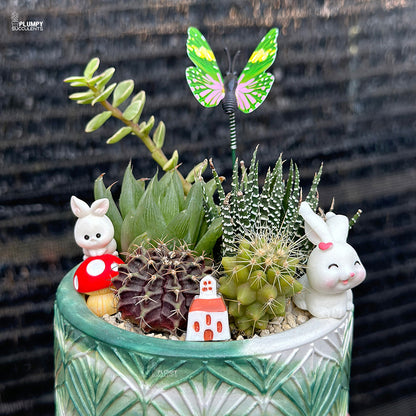 Succulent Garden (Rabbit's Heaven)