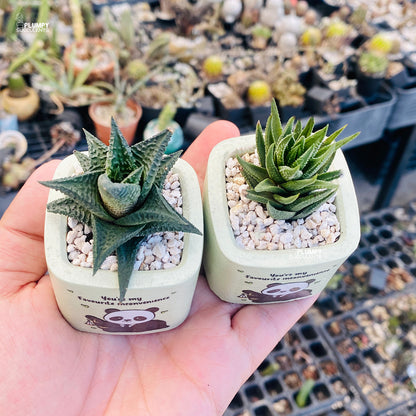 You’re My Favorite Inconvenience – Panda Planter Set (Set of 2)