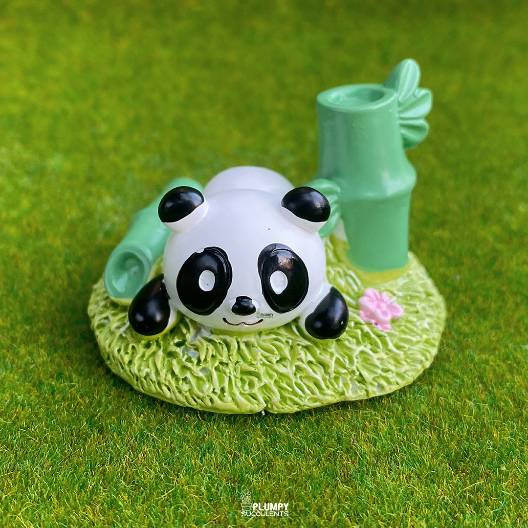 Summer Panda