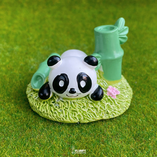 Summer Panda