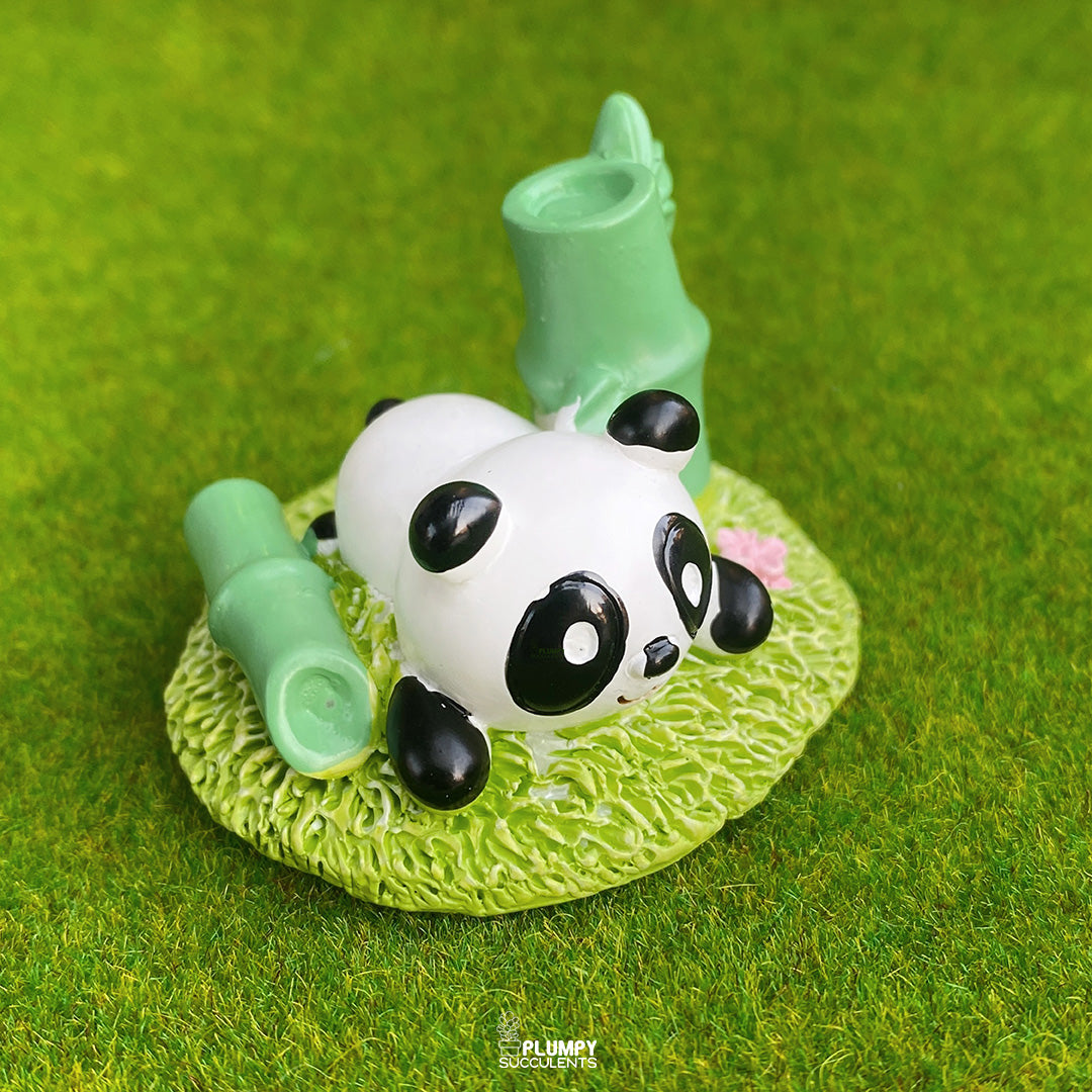 Summer Panda