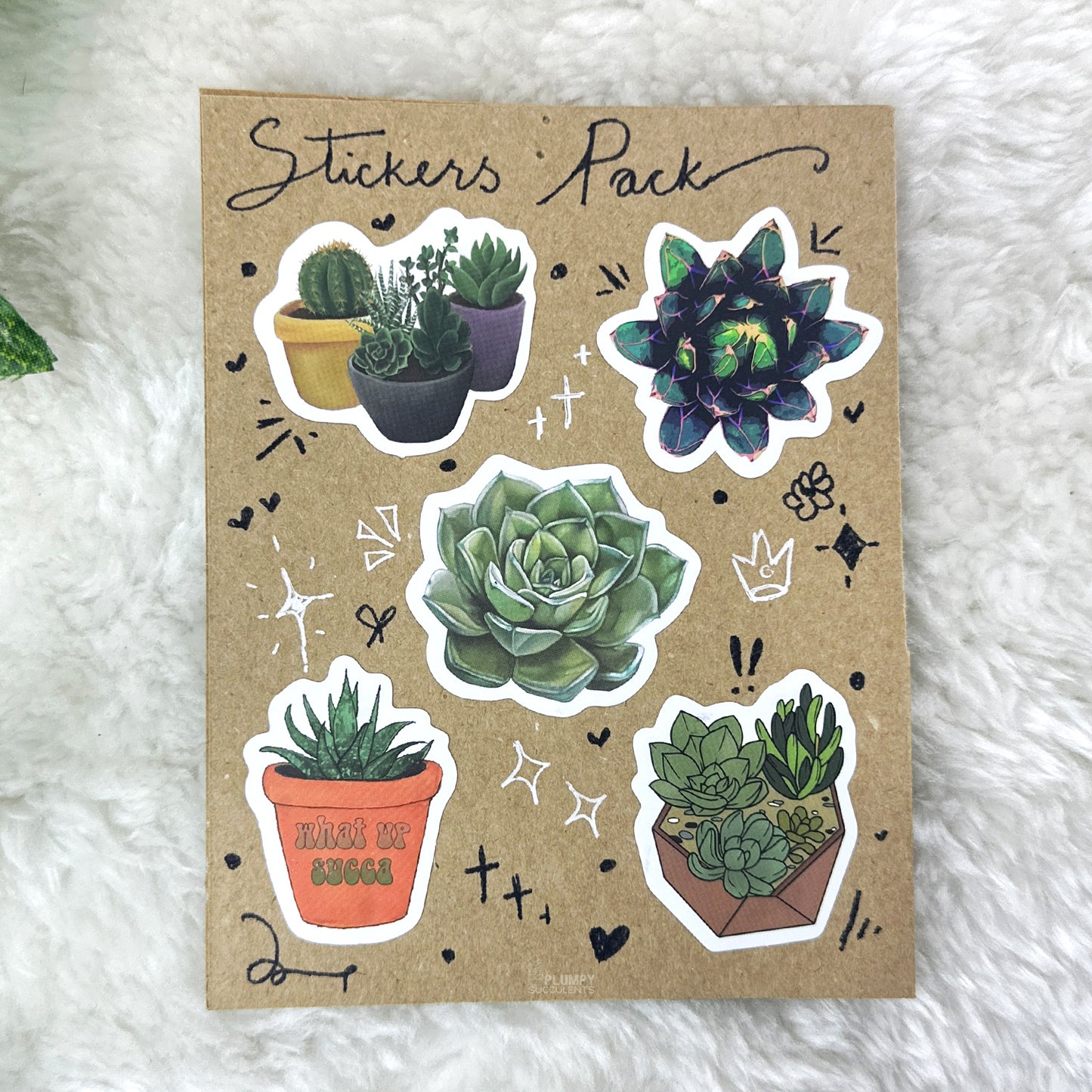 Succulent Sticker Pack 20