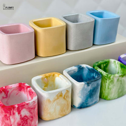 Square Planter  (2 Inch)
