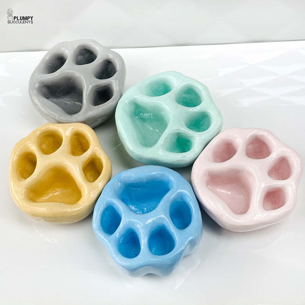 Paw Planter (4 Inch)