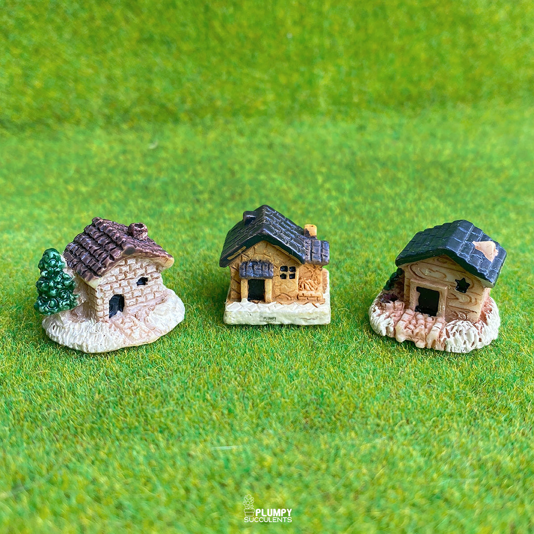 Rustic House