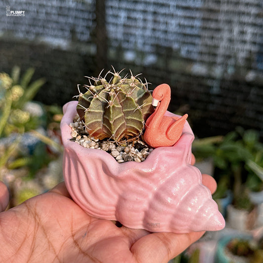 Pink shell-shaped planter with a cactus and flamingo decor held in hand