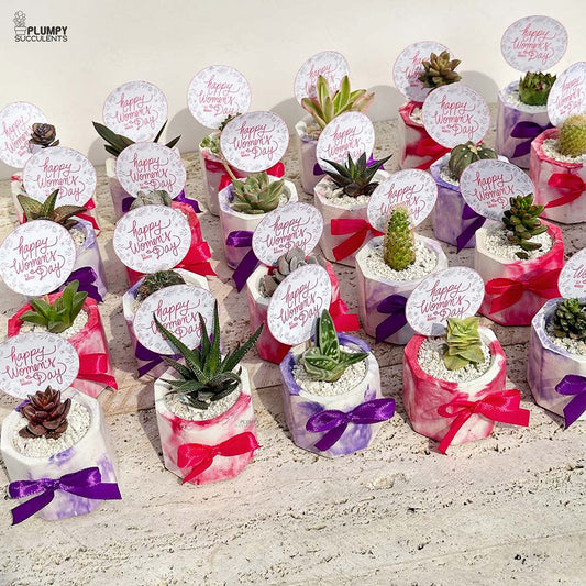 Women's Day - Mini Corporate Giveaways