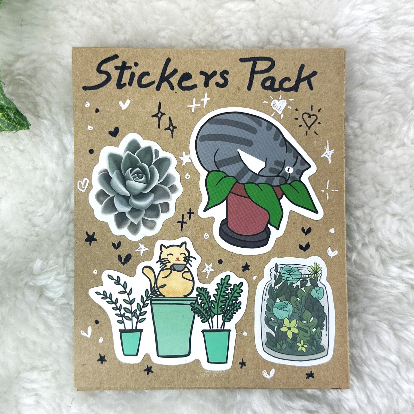 Succulent Sticker Pack 23