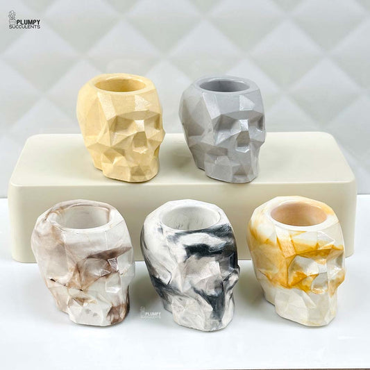Skull Planter (4 Inch)