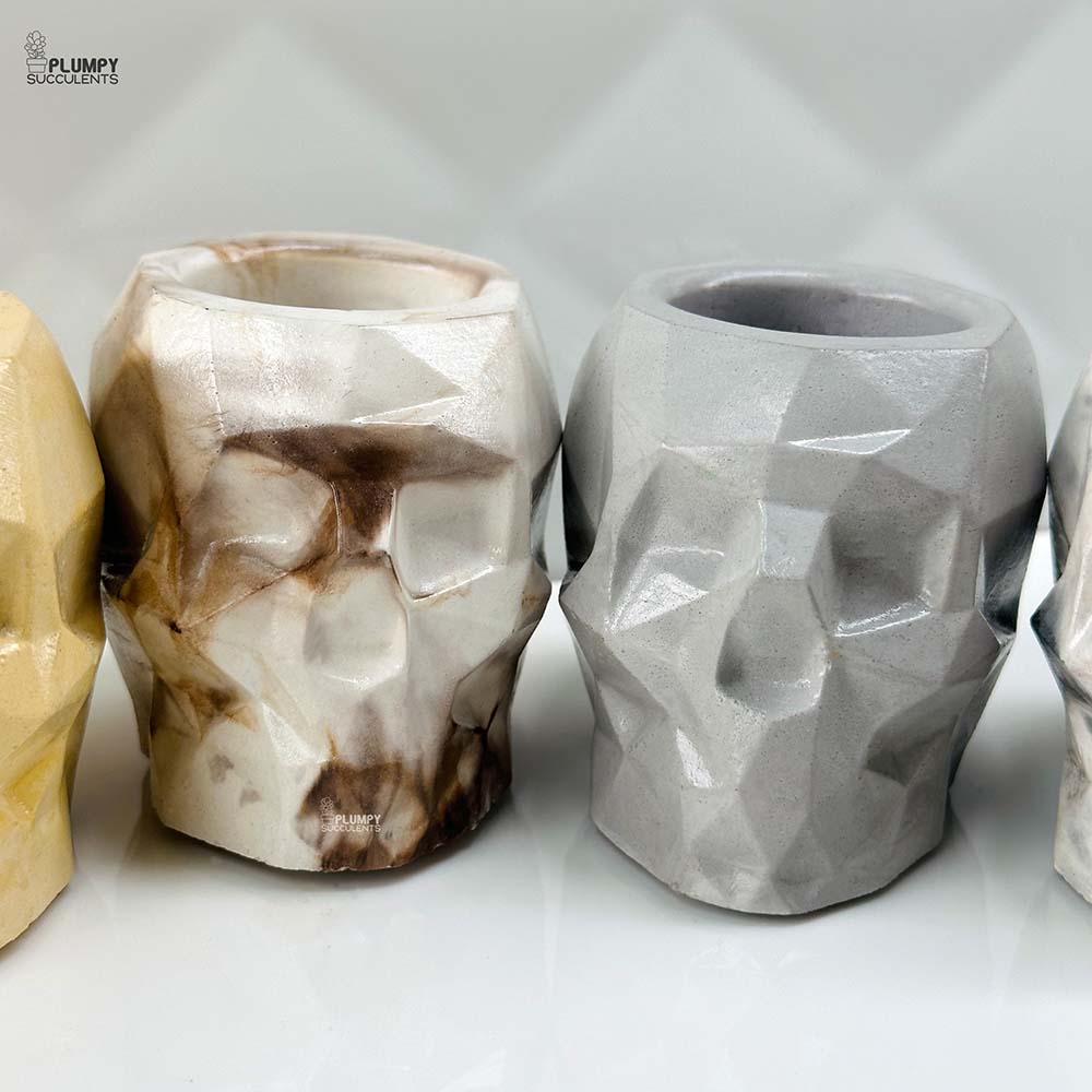 Skull Planter (4 Inch)